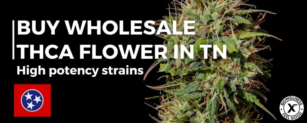 Buy Wholesale THCA Flower Tennessee