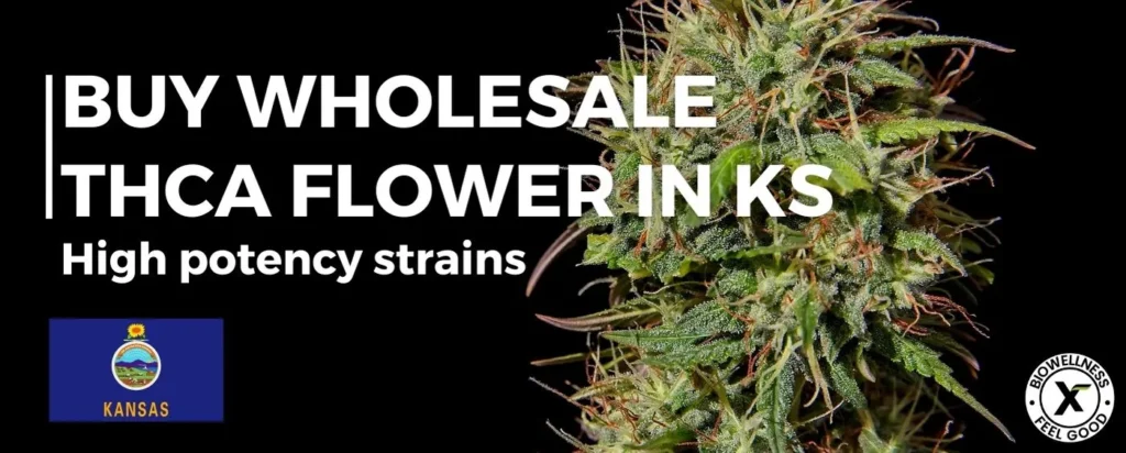 Buy Wholesale THCa Hemp in Kansas