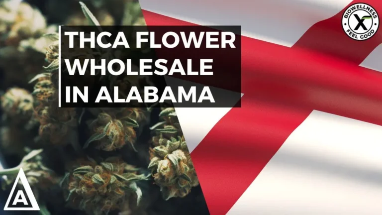 Find High-Quality THCA Flower Wholesale in Alabama