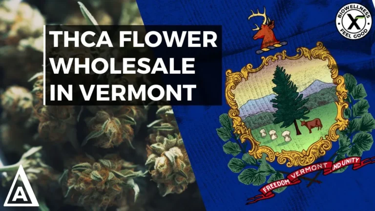 Find the Best High THCa Flower Wholesale in Vermont