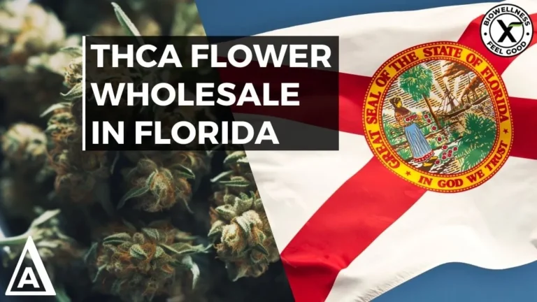 How to Buy High THCa Flower Wholesale in Florida