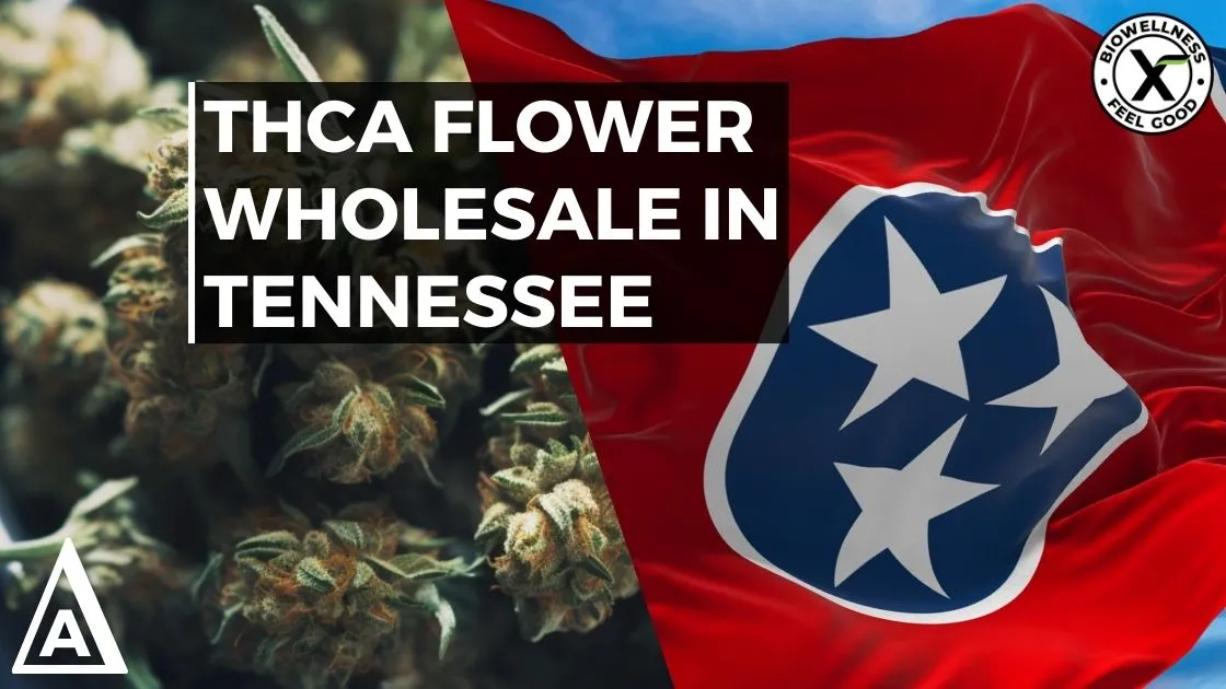 How to Buy High THCa Flower Wholesale in Tennessee