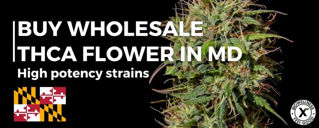 Order Bulk THCA Flower in Maryland