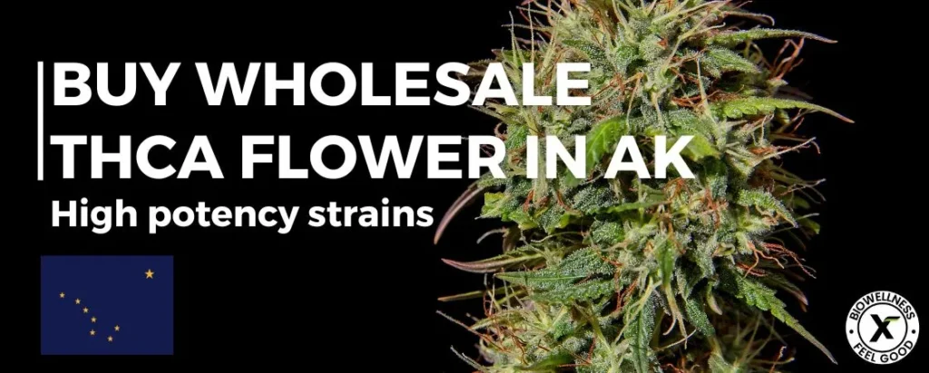 Purchase Wholesale THCA Flower in Alaska