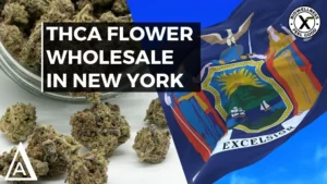 THCA Flower Wholesale In New York