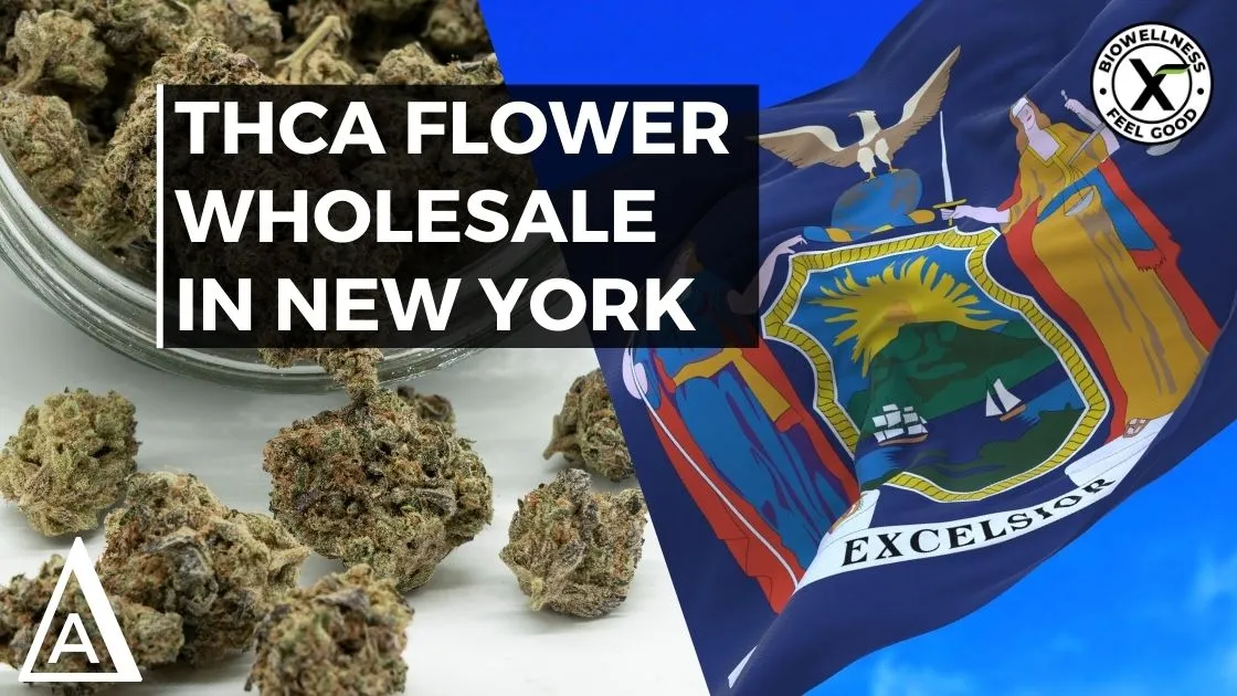 THCA Flower Wholesale In New York