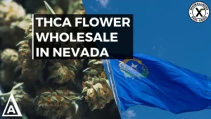 The Best High THCa Flower Wholesale in Nevada