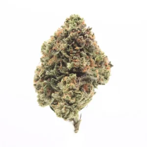 Blow Pop strain - BiowellnessX