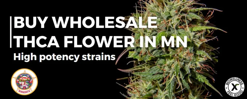 Buy Premium High THCA Flower in Bulk