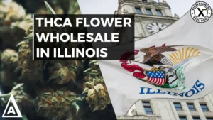 Buy Premium High THCa Flower Wholesale in illinois