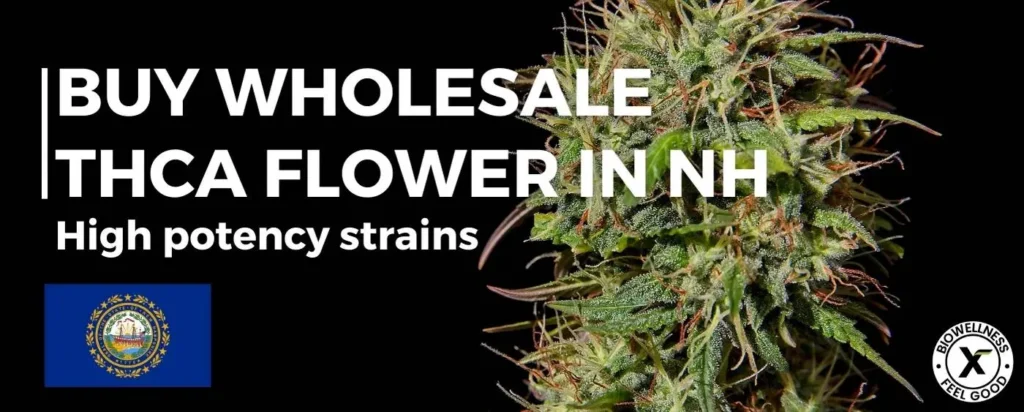 Buy THCa Flower Wholesale In New Hampshire