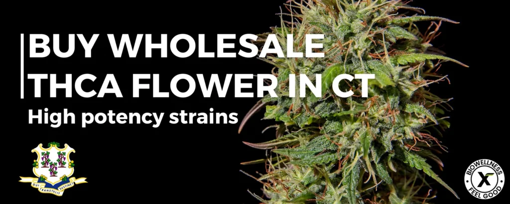 Buy THCa Flower Wholesale in Connecticut