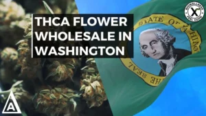 Buy the Best Wholesale THCa Flower in Washington