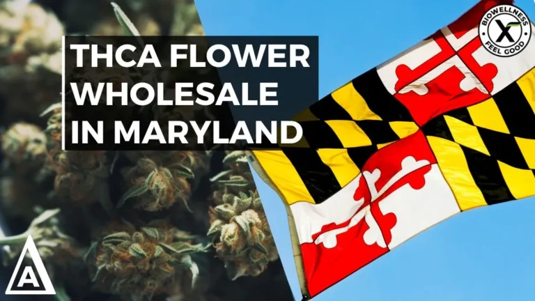 THCA Flower Wholesale In Maryland