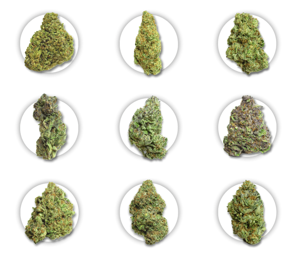 THCa Flower - Various High THCa Flower Strains - Daaank