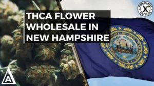THCa Flower Wholesale In New Hampshire