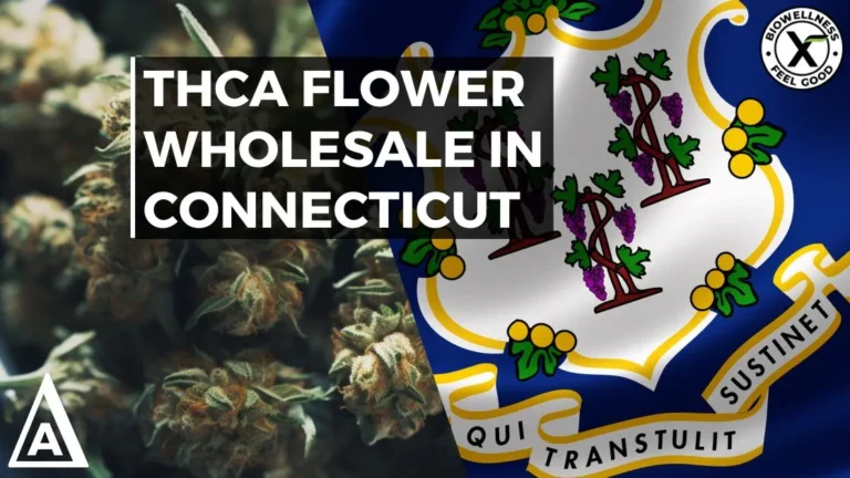 THCa Flower Wholesale in Connecticut