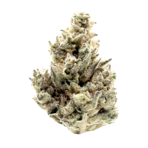 Trop Fire strain - BiowellnessX