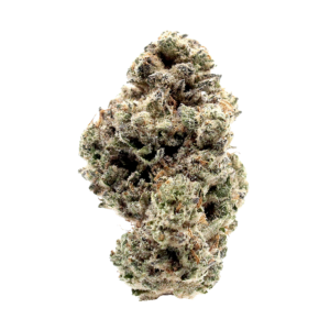 White Chocolate Chip strain - BiowellnessX