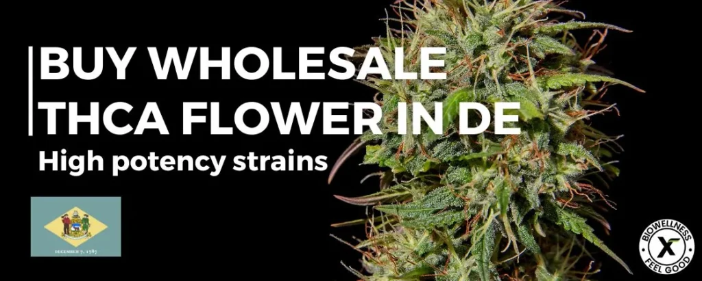 Buy High THCA Flower Wholesale in Delaware