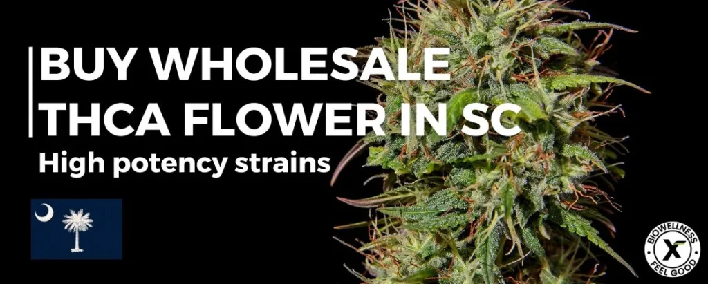 Buy High THCa Flower Wholesale In South Carolina
