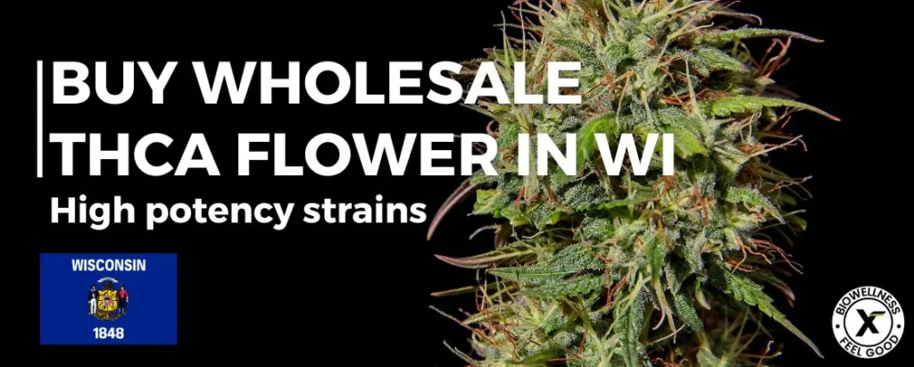 Buy High THCa Flower Wholesale in Wisconsin