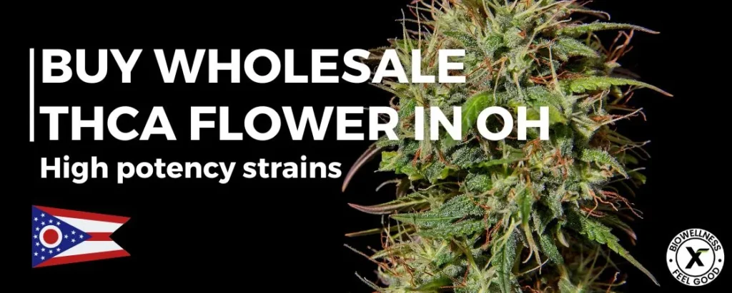 Buy THCa Flower Wholesale in Ohio