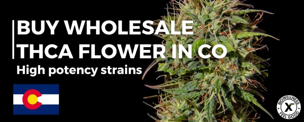 Buy THCa flower wholesale in Colorado