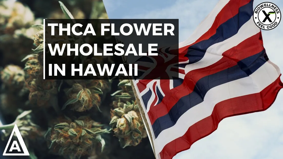 Buy the Best High THCa Flower Wholesale in Hawaii