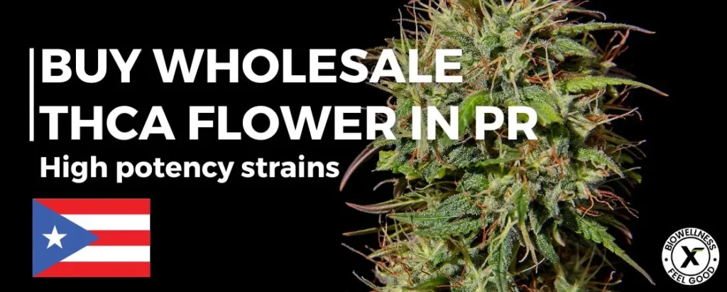 Order Bulk THCA Flower from BioWellnessX