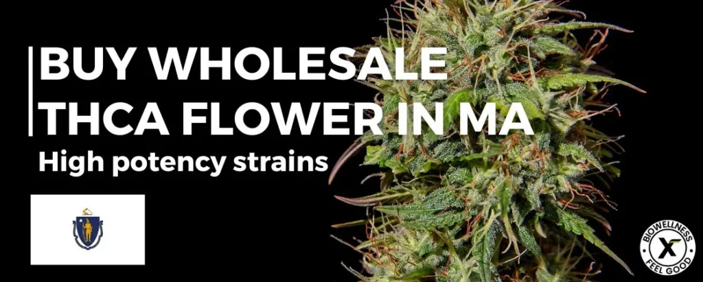 Purchase THCa Hemp Flower Wholesale In Massachusetts