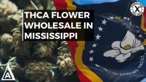 THCA Flower Wholesale in Mississippi