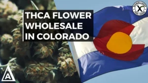 THCa Flower Wholesale In Colorado