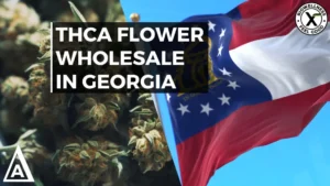 THCa Flower Wholesale In Georgia