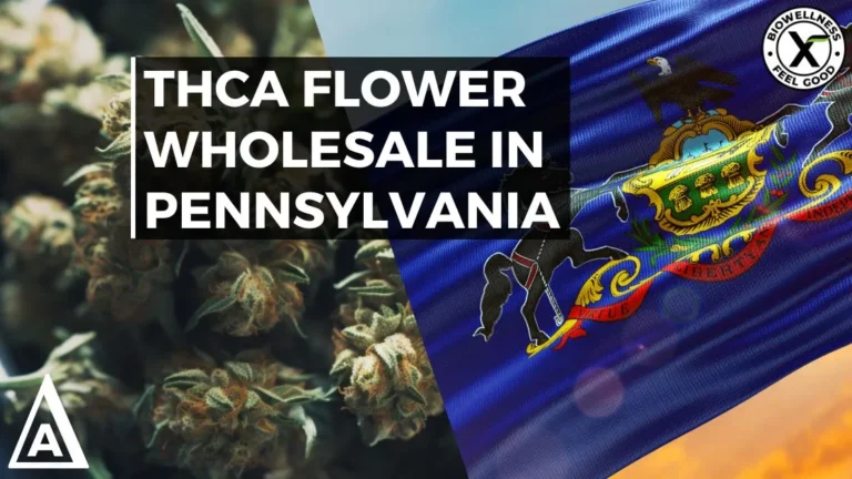 THCa Flower Wholesale In Pennsylvania