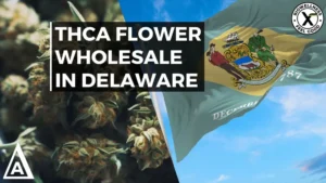 The Best Wholesale THCA Flower in Delaware