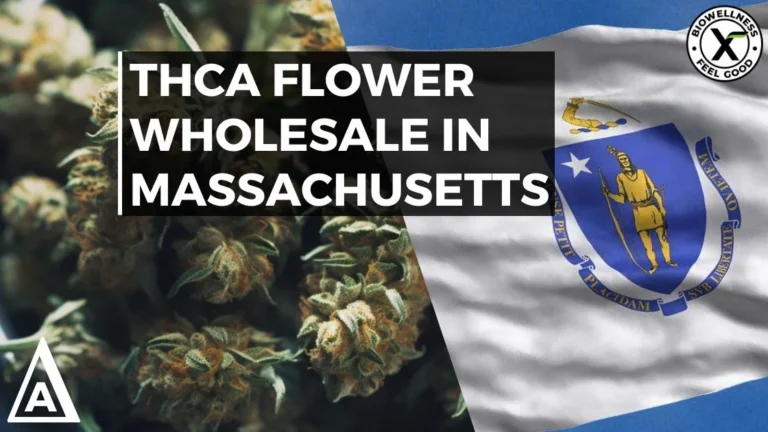 Where to Buy Wholesale THCa Flower in Massachusetts