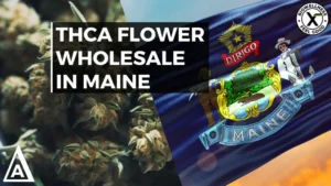 Buy THCa Flower Wholesale in Maine