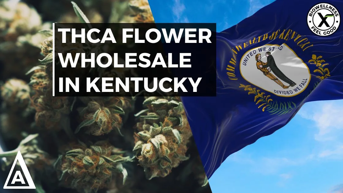 Buy Wholesale THCa Hemp Flower in Kentucky