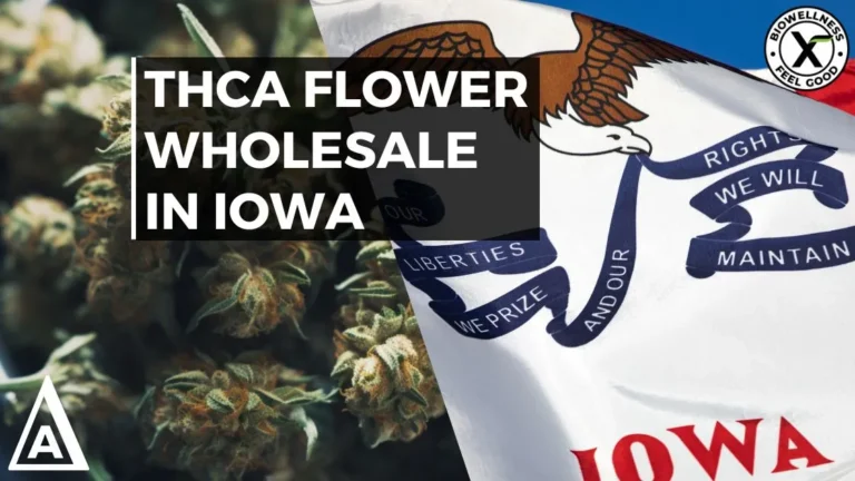 How-to-buy-thca-flower-wholesale-iowa