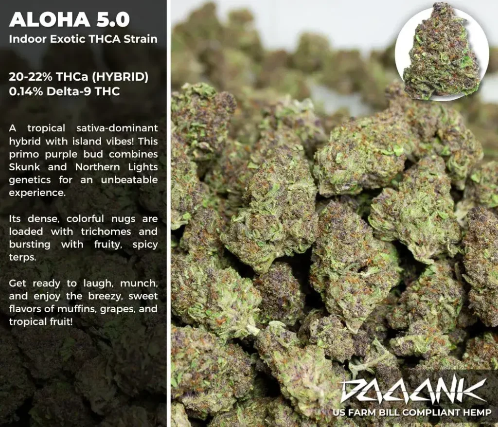 THCa Flower - Aloha 5.0 Exotic - Daaank
