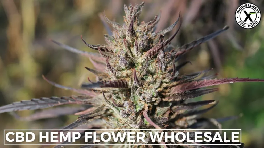 CBD Hemp Flower Wholesale - BioWellnessX