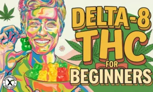 Delta 8 for Beginners