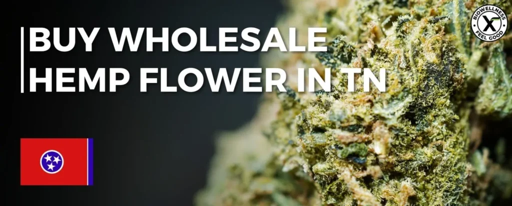 Buy Premium Hemp Flower Wholesale in Tennessee