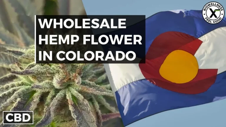 Buy Wholesale CBD Rich Hemp Flower in Colorado