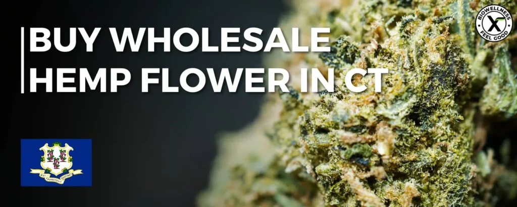 Buy Wholesale Hemp flower in Connecticut-BiowellnessX