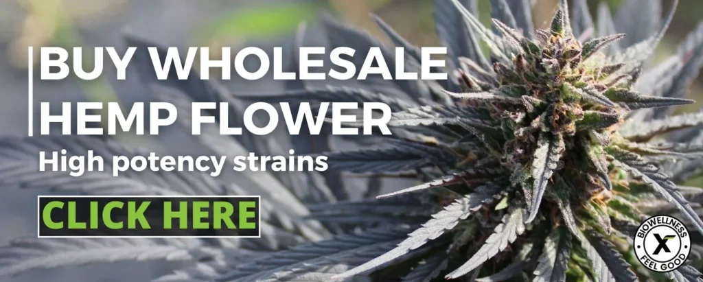 Buy wholesale hemp flower in Florida