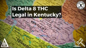 Is Delta-8 Legal in Kentucky - BiowellnessX