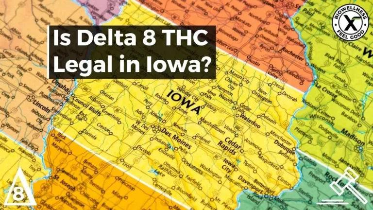 Is Delta-8 legal in Iowa - BiowellnessX