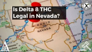 Is Delta-8 legal in Nevada - BiowellnessX